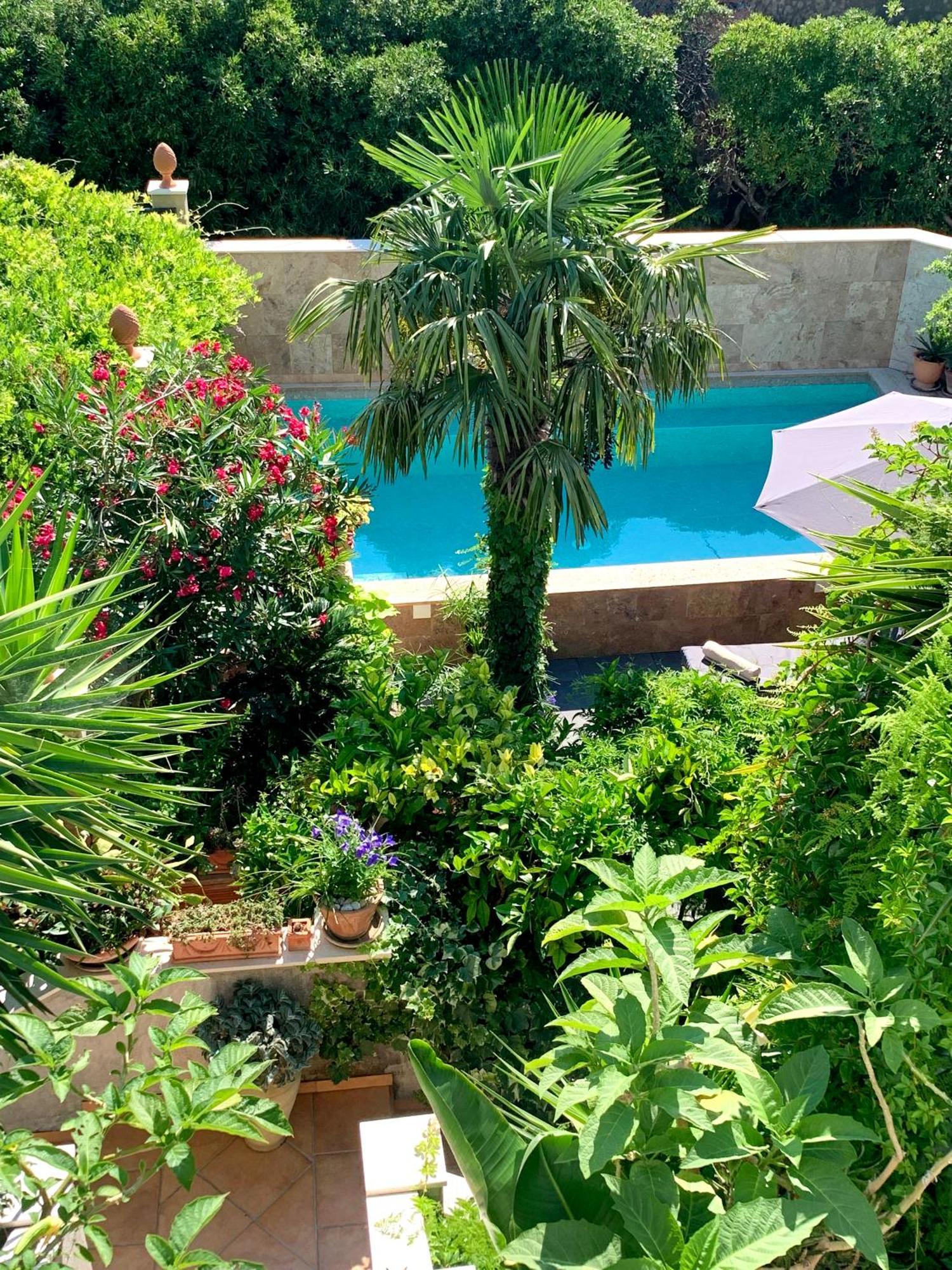 Luxury Pool Central Makarska Apartment By Maryn Экстерьер фото